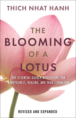 The Blooming of a Lotus