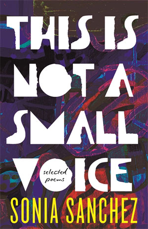 This is Not a Small Voice