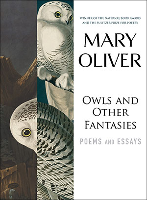 Owls and Other Fantasies