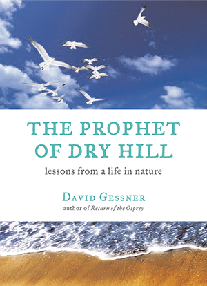 The Prophet of Dry Hill